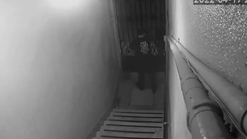 Dejó el auto estacionado y le robaron las cenizas de su abuela