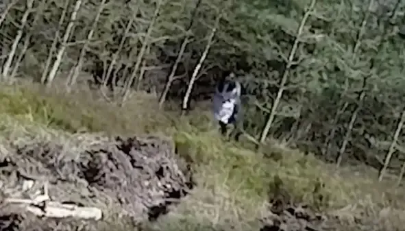 Delincuente escapaba por la ventana, lo vio un Policía que estaba de franco y terminó aprehendido