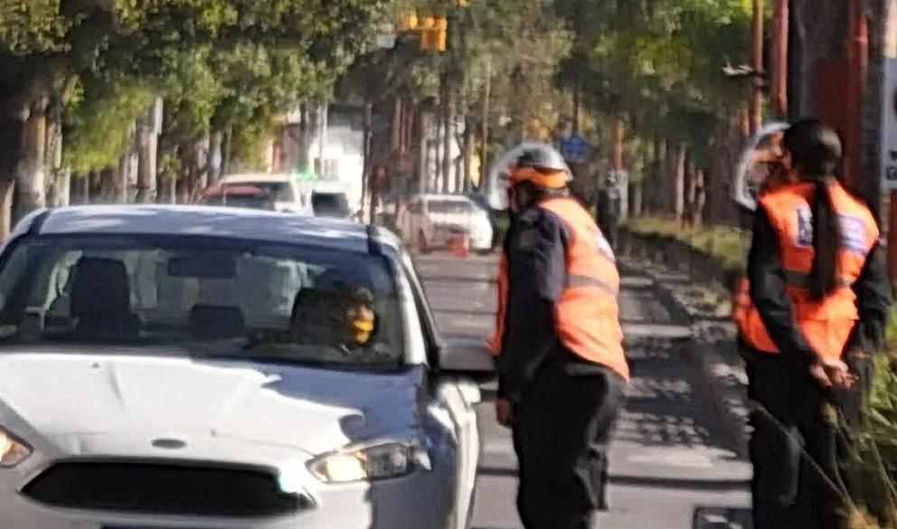 Dengue: cronograma semanal
