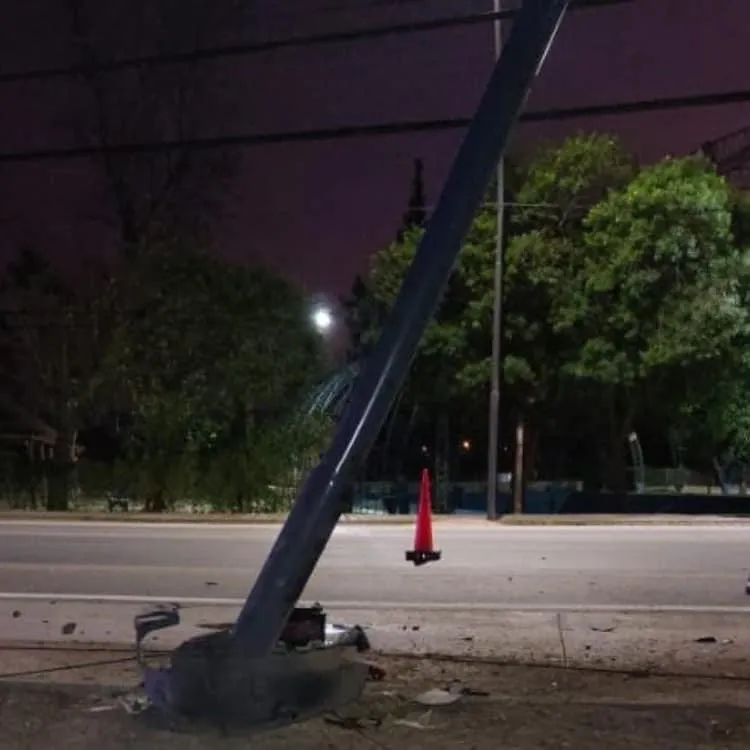 Dengue: cronograma semanal