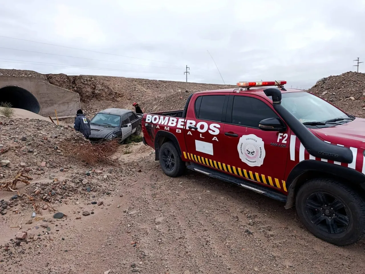 Denunciaron a un influencer que se mostraba como amante de los animales: el impactante video en el que le pega a sus perros