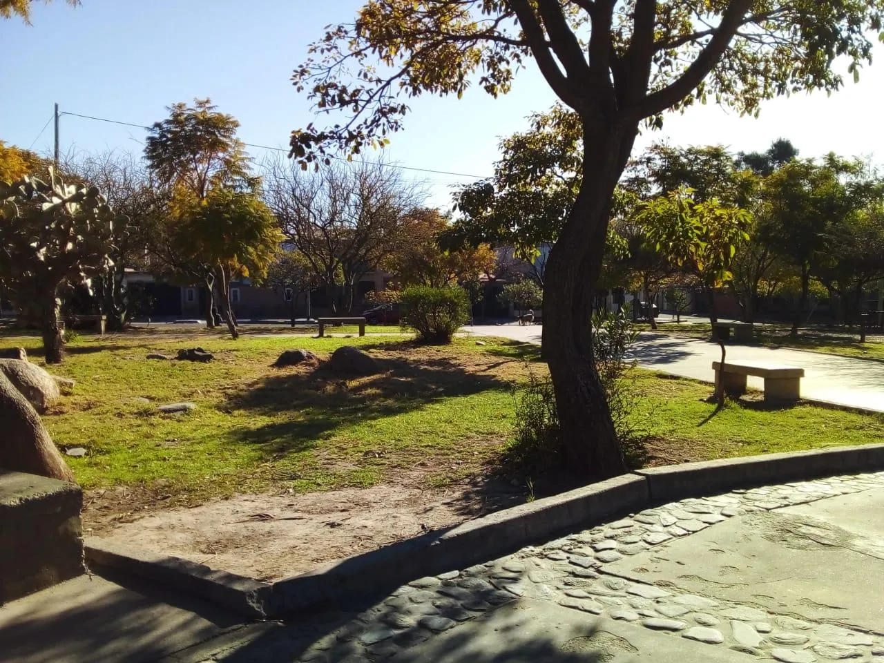 Denunció descontrol en viaje de estudio con sexo y alcohol
