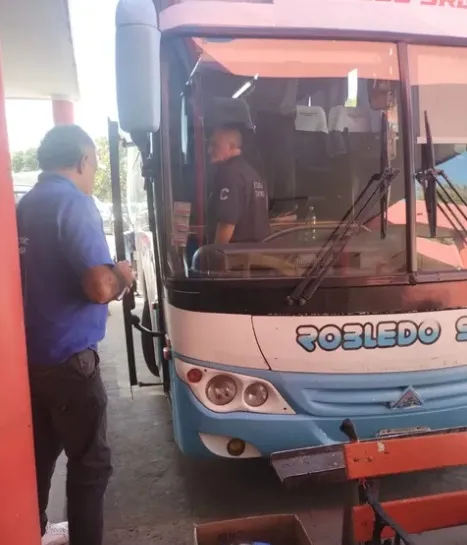 Desayunar con palta ayuda a reducir el colesterol malo y fortalecer el sistema inmune