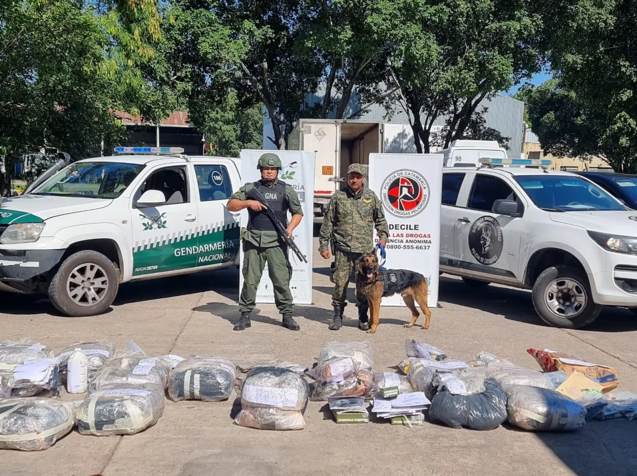 Descubrieron que 10 horas de sedentarismo daña al corazón, incluso si eres deportista