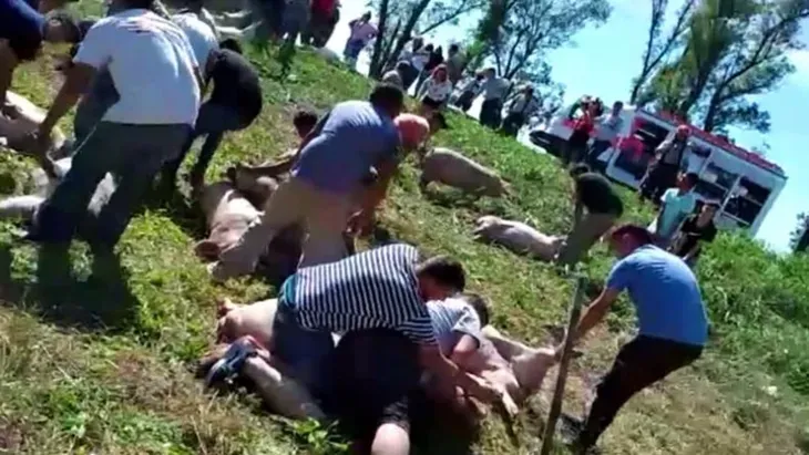 Detalles del hecho en el que un padre le disparó a su hijo con una escopeta