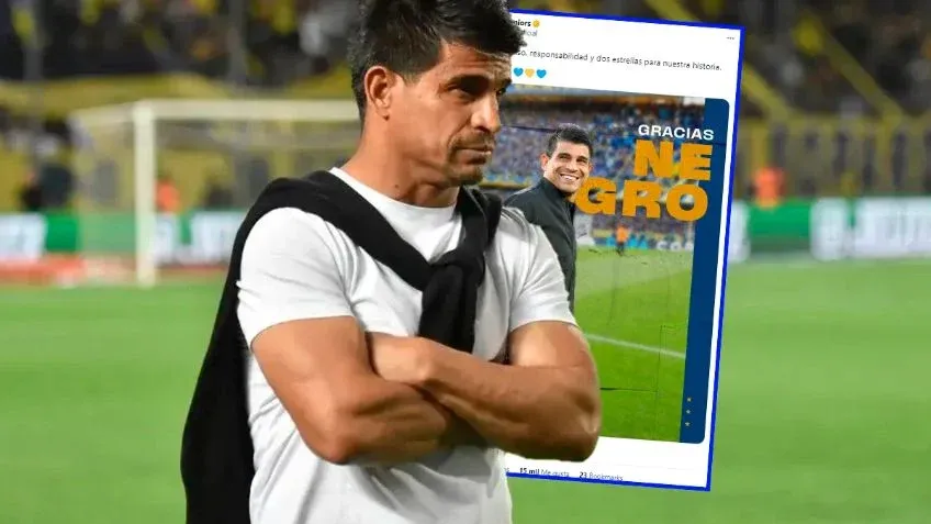 Detectaron tres casos de rabia en bovinos en Misiones