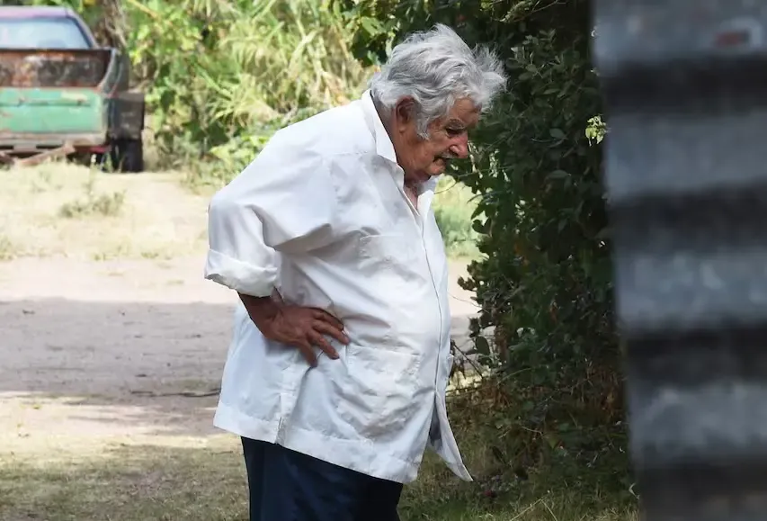 Dime qué imagen ves primero...
