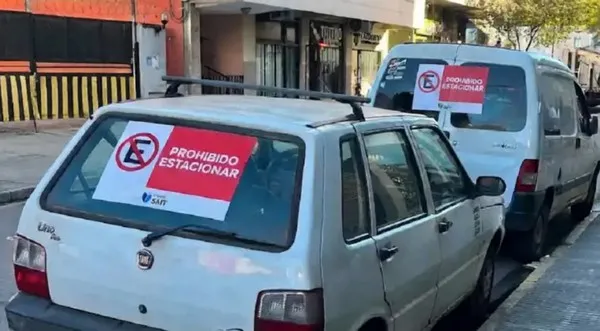 Dónde guardar las cebollas para conservar su firmeza, sabor y evitar que broten