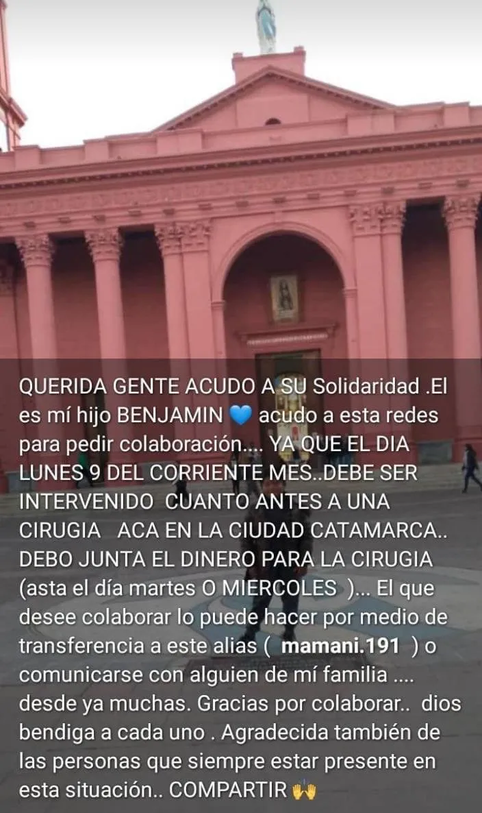 Dónde ubicar una planta de albahaca para atraer dinero y buenas energías, según el Feng Shui