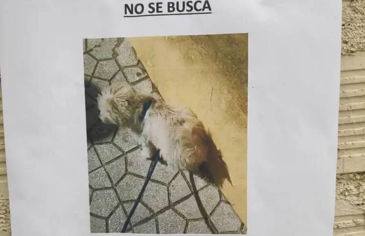 Dos golpeadores aprehendidos