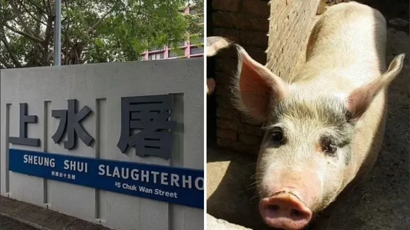 Dos hombres murieron luego de comer asado en mal estado: les detectaron shigella y salmonella