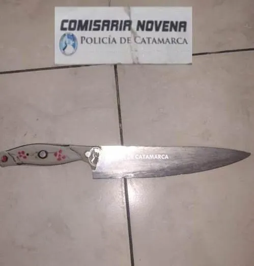 Dos niños cayeron a una pileta