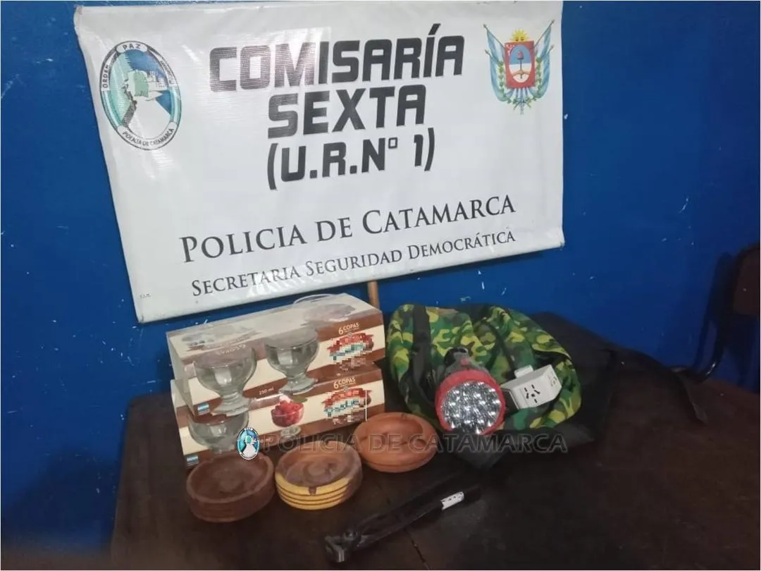 Ebria, intentó escapar de un control y chocó contra un árbol y una reja