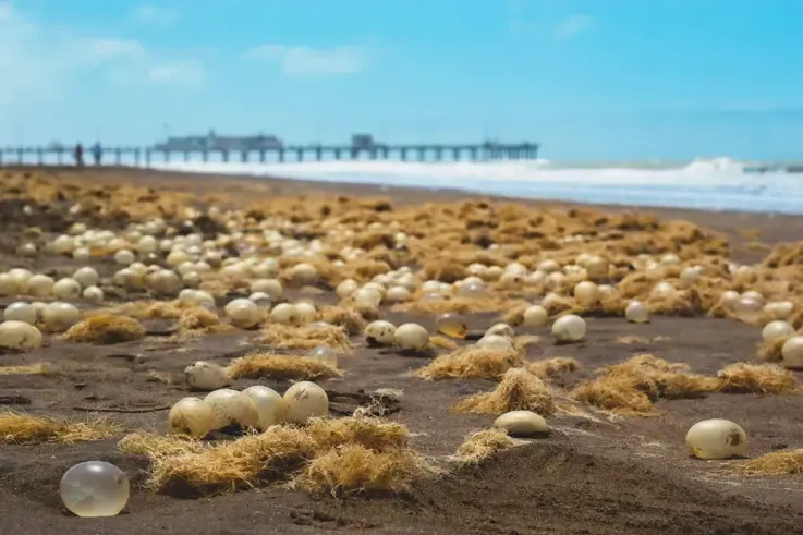 El agua en Fray Mamerto Esquiú
