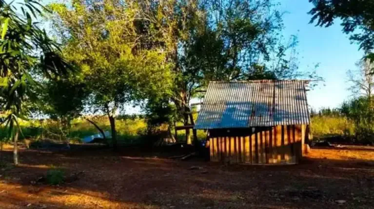 El alimento que fortalece las rodillas y casi nadie incluye en su dieta