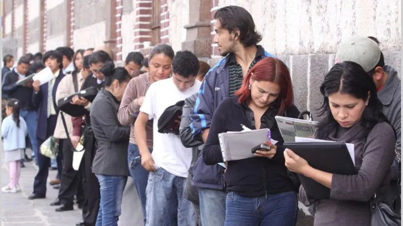 El búho que elijas revelará secretos de tu personalidad