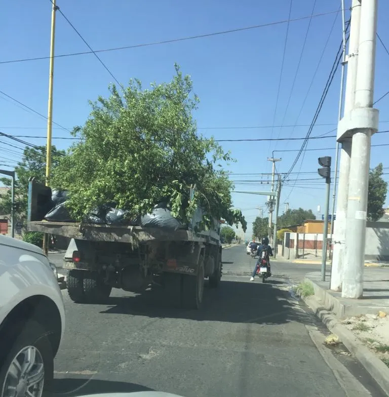 El Chaqueño Palavecino fue dado de alta