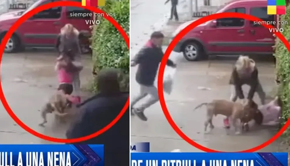 El desconsolado llanto de una jugadora que fue retirada en silla de ruedas
