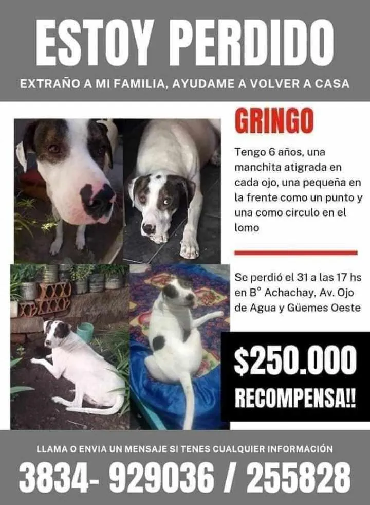 El dueño del local la atrapó cuando robaba