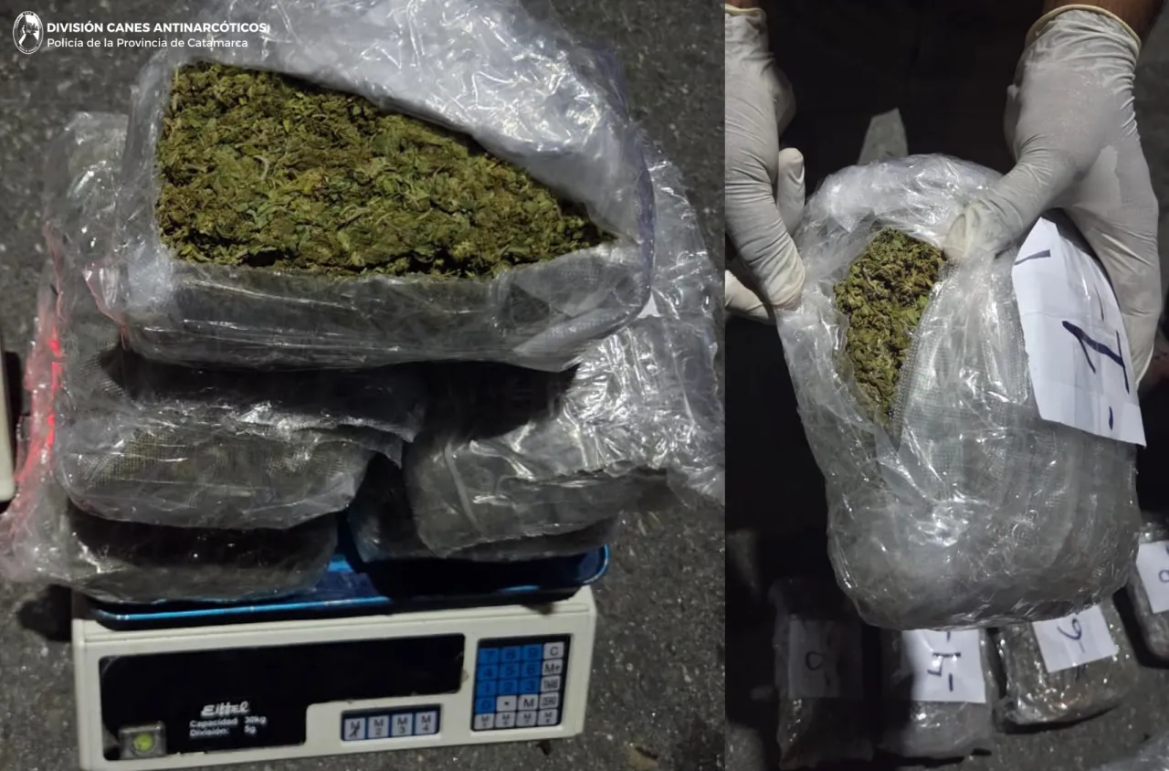 El error silencioso al guardar frutas en la heladera que acelera su descomposición