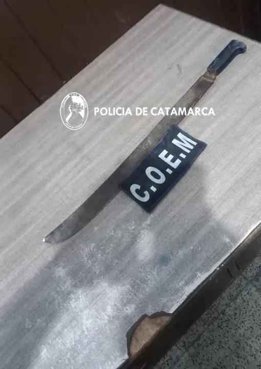 "El haber tenido a mi hijo a los 46 años me ha ayudado. La edad te da otra perspectiva"