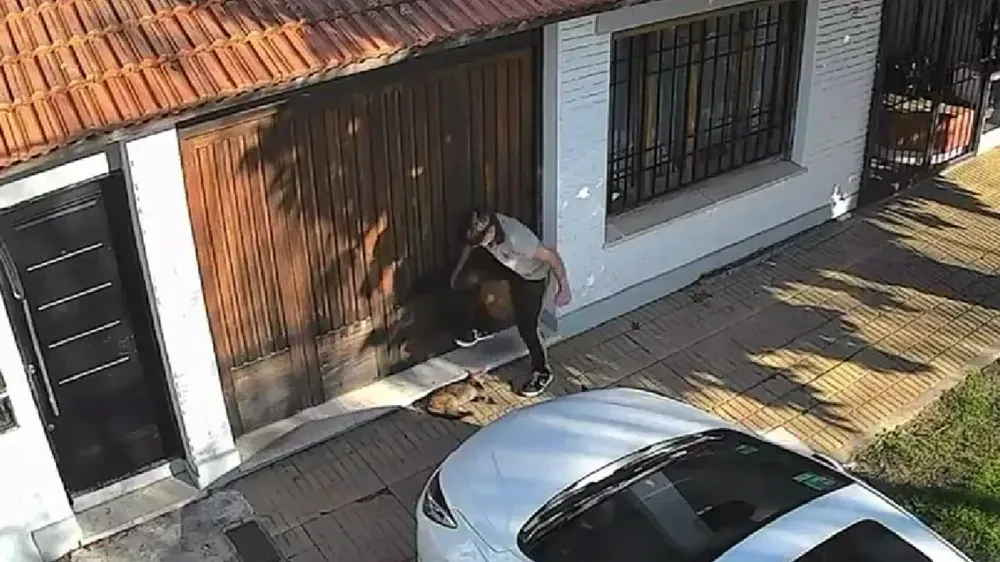 Una persona parada en la vereda forcejea o manipula el porton de madera de una casa junto a un perro.