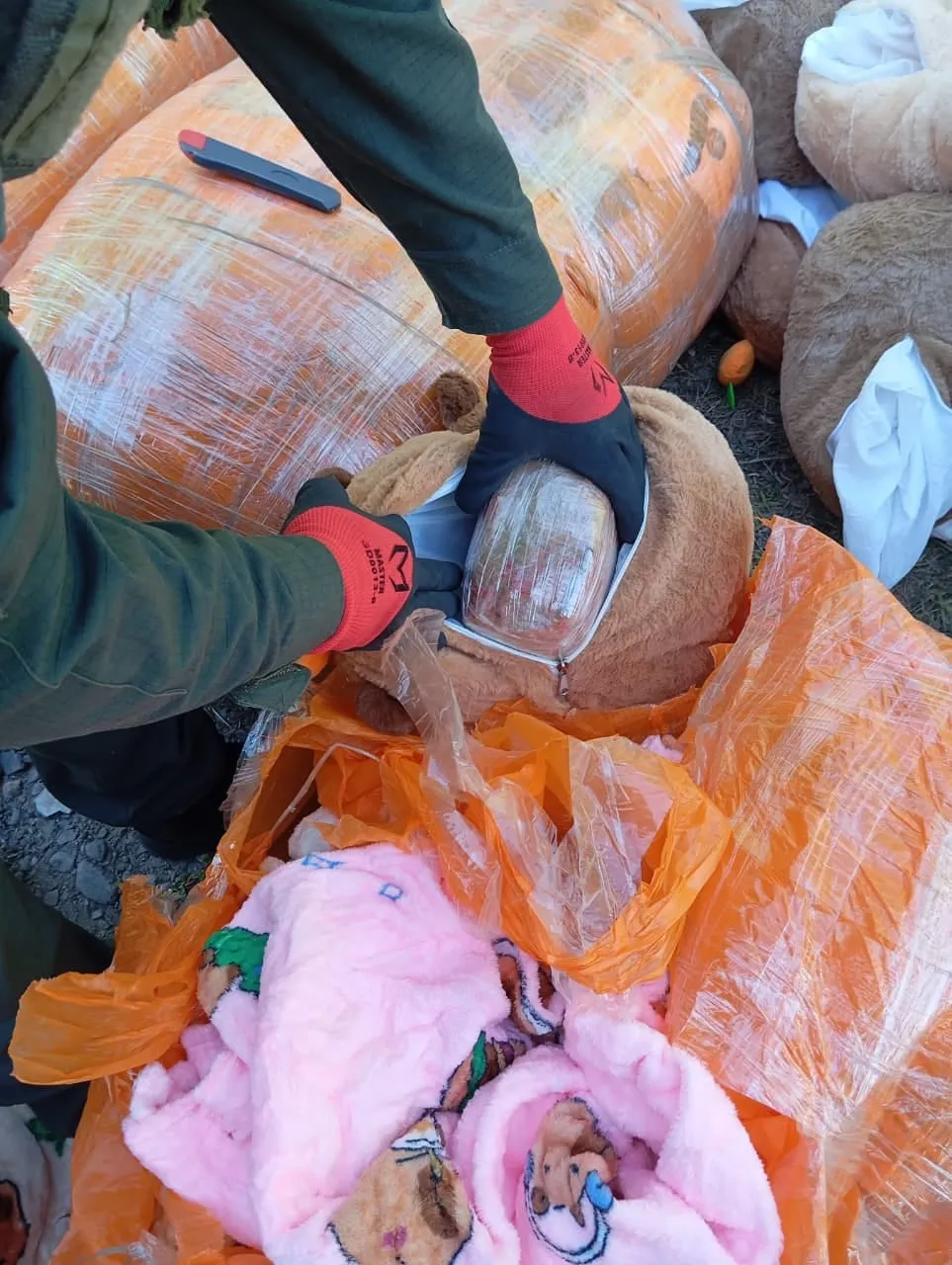Una persona con guantes saca un paquete envuelto desde el interior de un peluche marrón.
