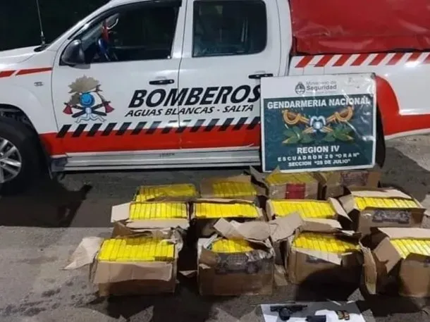 El perro libertario existe: la mascota que se volvió viral por gruñirle a los votantes de Massa