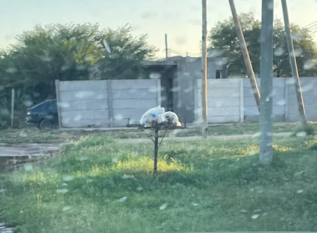 El posteo del hermano de Milagros Nahir Oliva: se siente decepcionado