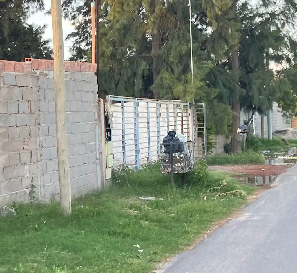 El posteo del hermano de Milagros Nahir Oliva: se siente decepcionado