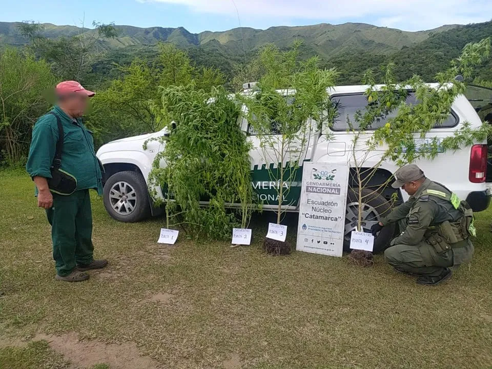 El precio de la tarta de frutillas de Maru Botana que generó polémica
