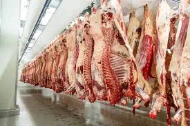 El Servicio Integral de Ginecología realizó más de 6 mil atenciones en 4 meses