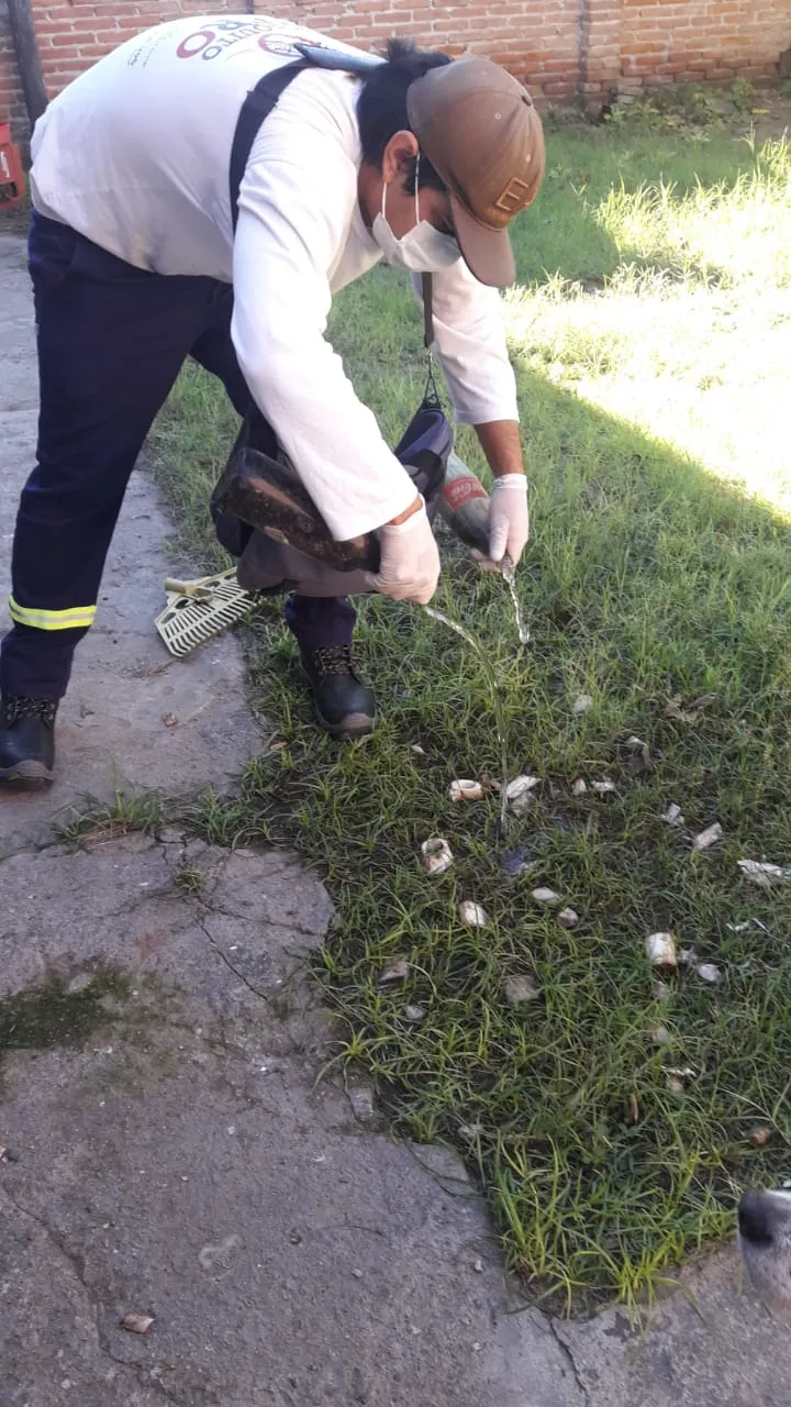 El tío de Máxima Zorreguieta murió por coronavirus en Argentina