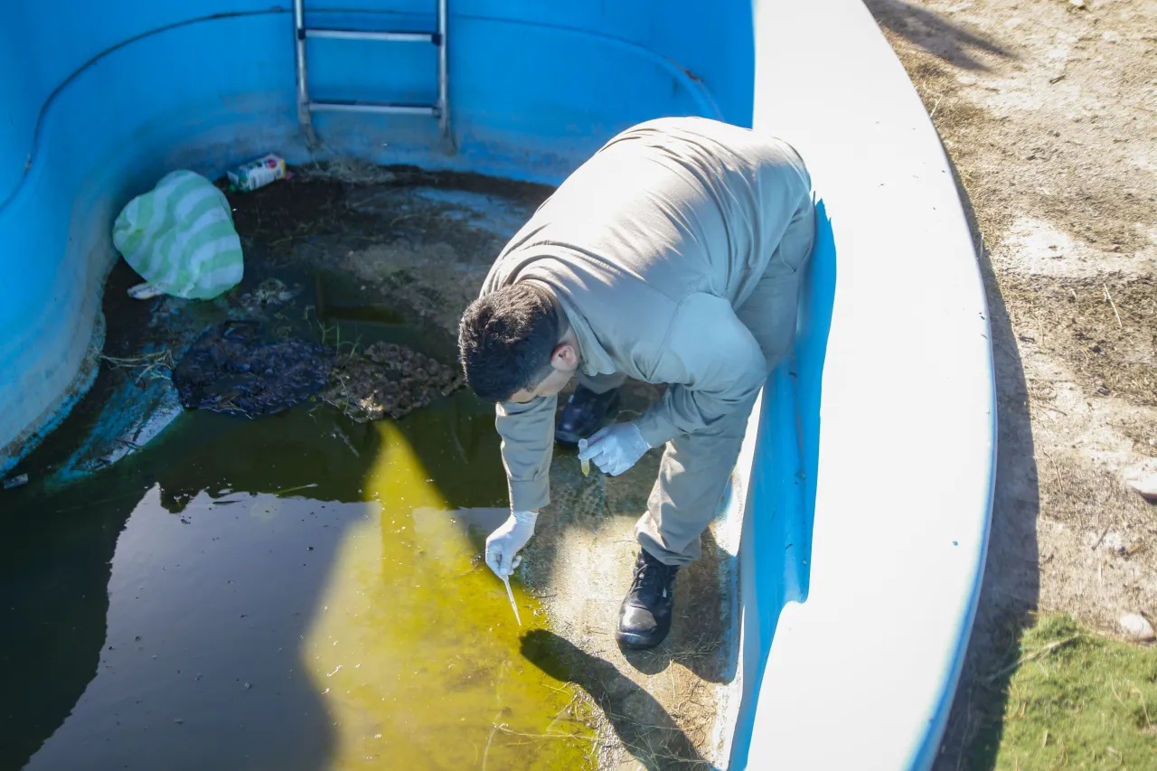 El truco casero que elimina el mal olor del tacho de basura