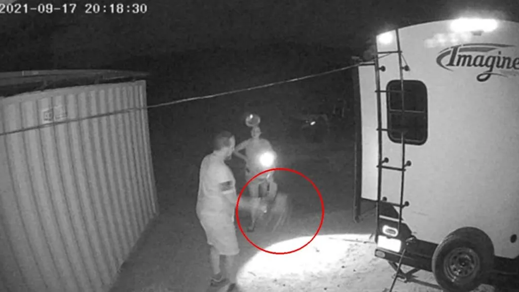 Elefante atacó un camión con turistas durante un safari