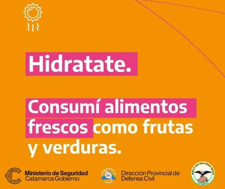 En dos controles interdictaron mercadería de contrabando con un avalúo millonario