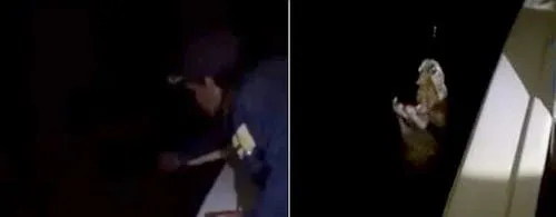 En pleno viaje denunció el robo de su celular y 62 pasajeros terminaron en una comisaría