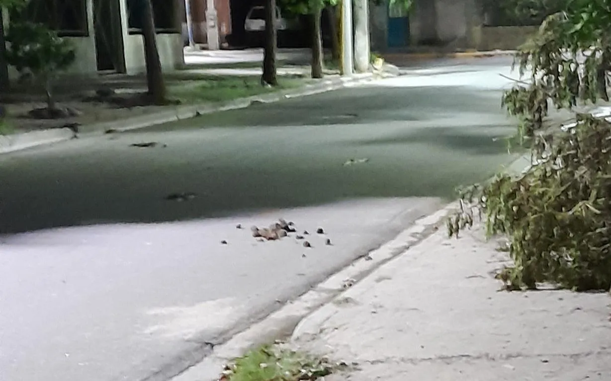 En Pomán arrestaron a dos personas