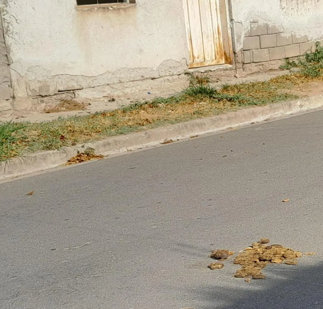 En Pomán arrestaron a dos personas