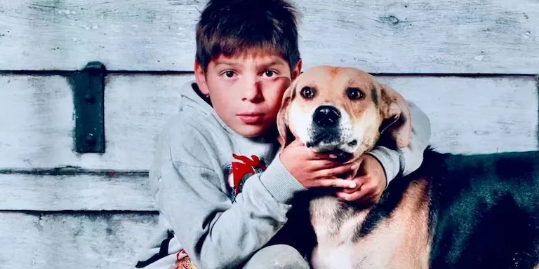 En qué horario pica más el mosquito Aedes aegypti