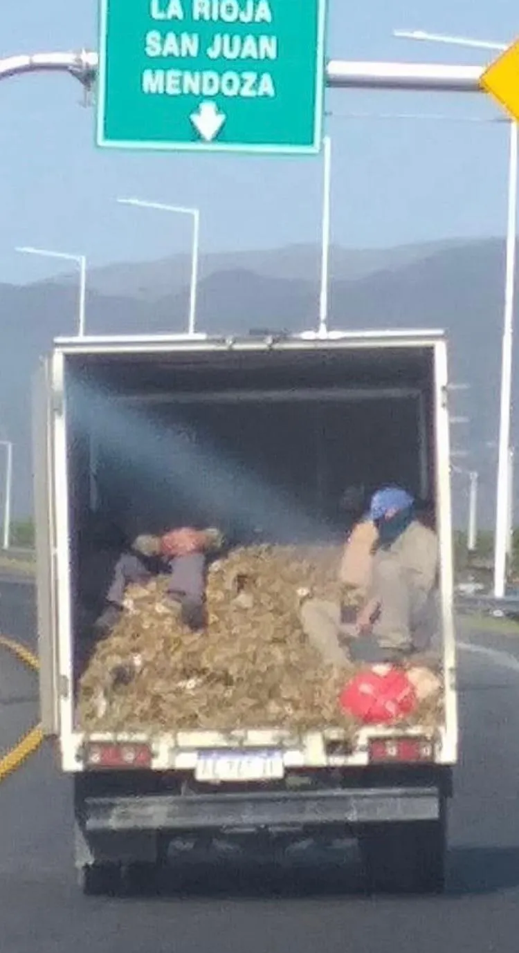 En Tucumán, desde hoy los jubilados ya pueden viajar gratis en el transporte público