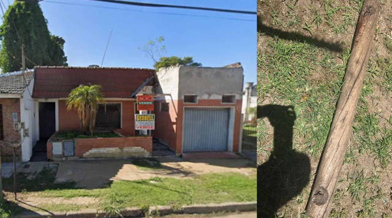 En un barrio del Sur de la Capital policías secuestraron más de 80 plantas de Marihuana