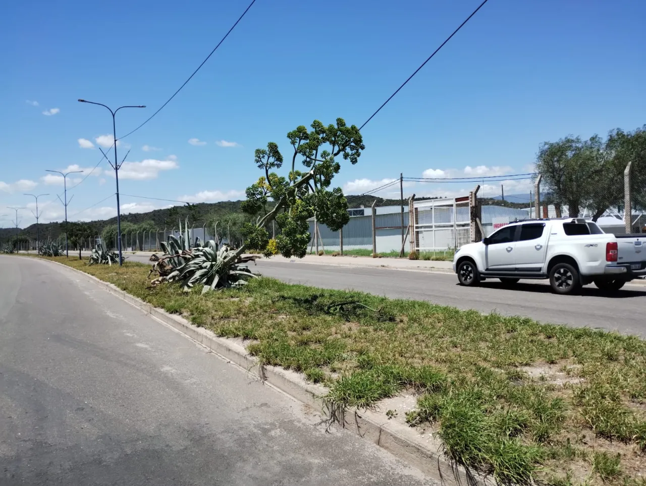 Encerró a su novio en una valija, murió asfixiado y dijo que fue un accidente: “Jugábamos a las escondidas”