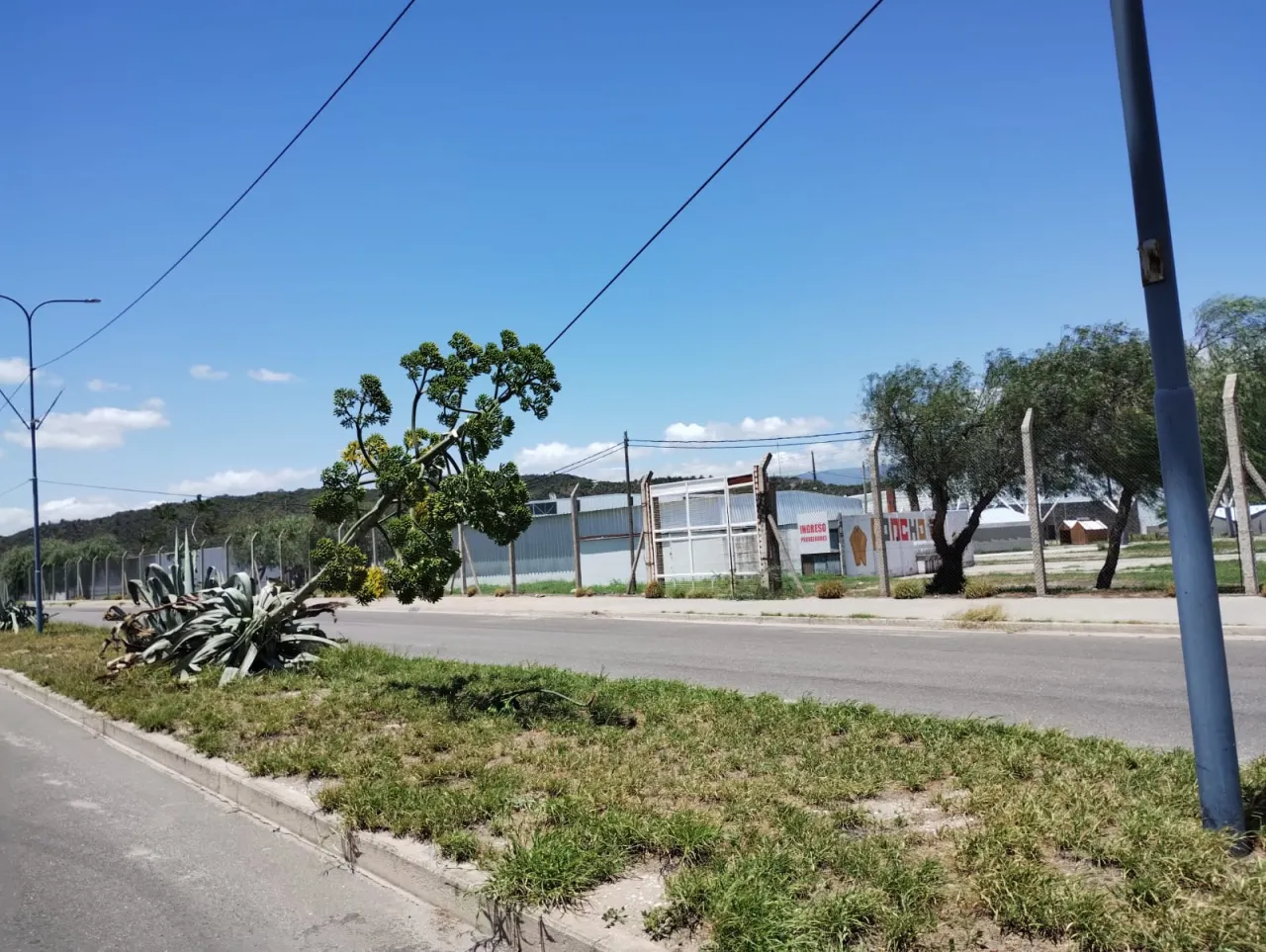 Encerró a su novio en una valija, murió asfixiado y dijo que fue un accidente: “Jugábamos a las escondidas”