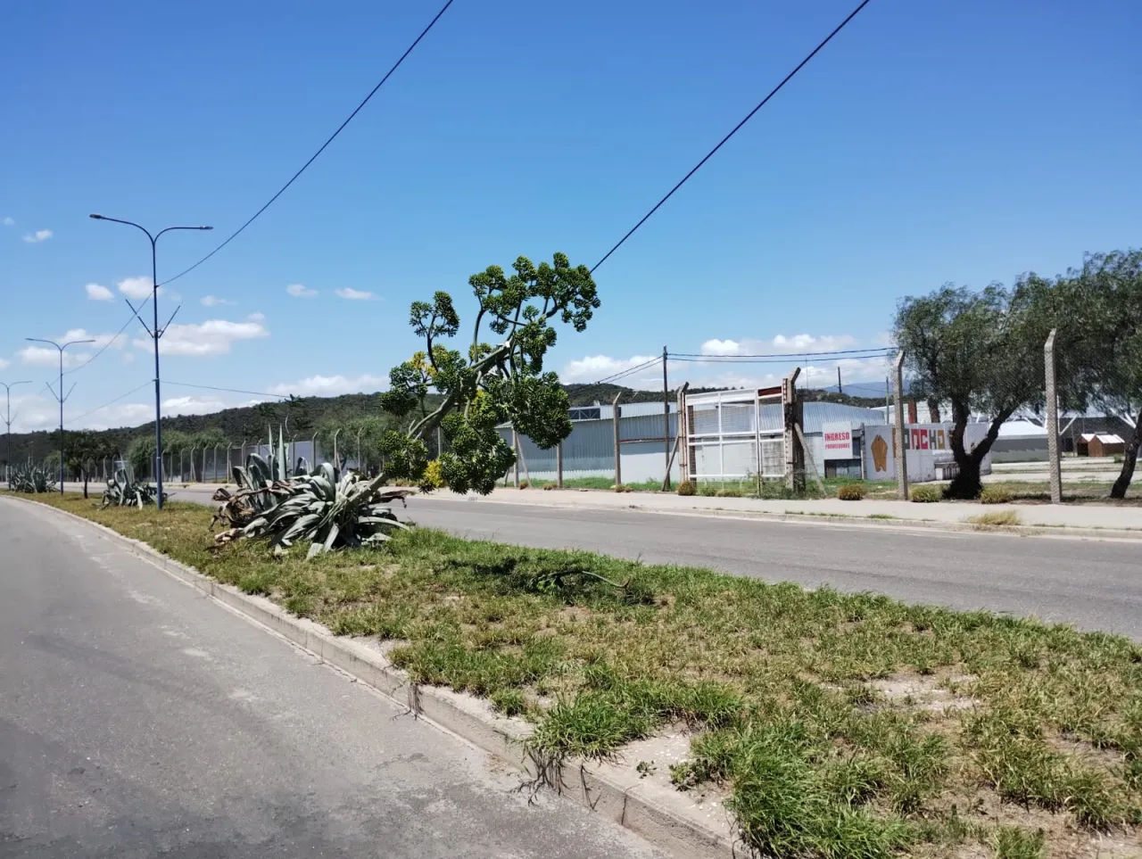 Encerró a su novio en una valija, murió asfixiado y dijo que fue un accidente: “Jugábamos a las escondidas”