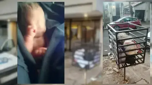 Encontraron a una bebé recién nacida prematura en un tacho de basura