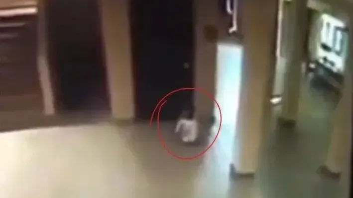 Encontró a una perrita enterrada hasta el cuello y luego de rescatarla descubrió algo aún más devastador