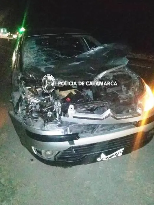 Encuentran a una mujer muerta en el baño de un micro