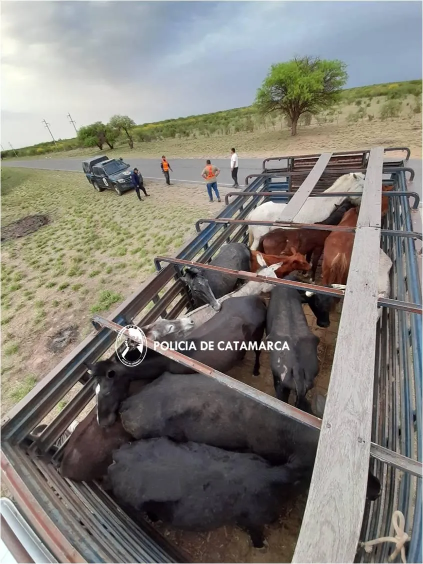 Era un viaje soñado y se convirtió en su peor pesadilla: es argentino y está preso en África