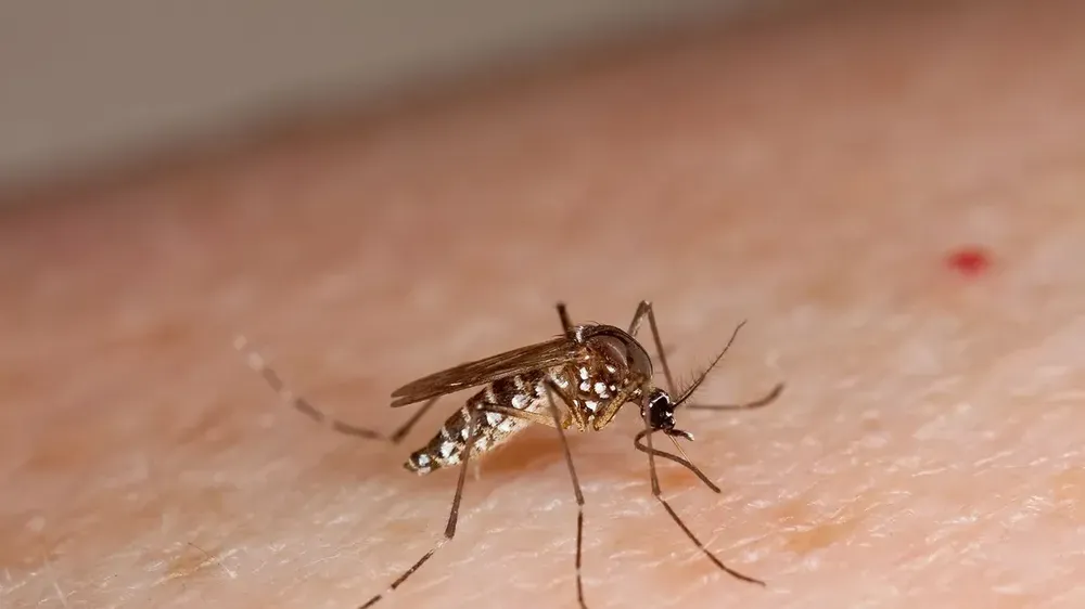 Es ley en Mendoza: aprobaron la sanción a padres ante casos de bullying